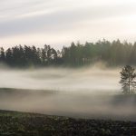 Kuvituskuva.Myrskysään tummentamat pilvet roikkuvat valokuvassa auringon punertamina peilityynen järven yllä. Järven rantoja kiertää metsä. Horisontissa metsän ja pilvien välistä kajastaa kesäöinen valo. Pilvien välissä on aavistus korkeuksiin ulottuvasta sateenkaaresta.